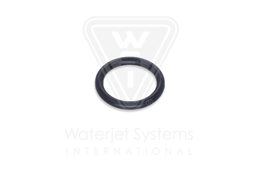 CY10074367 O-Ring, Retaining Flange - Image 1