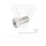 Retaining Screw, Check Valve
