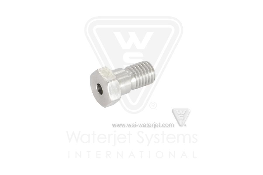 FW004380-1 Retaining Screw, Check Valve - Image 1