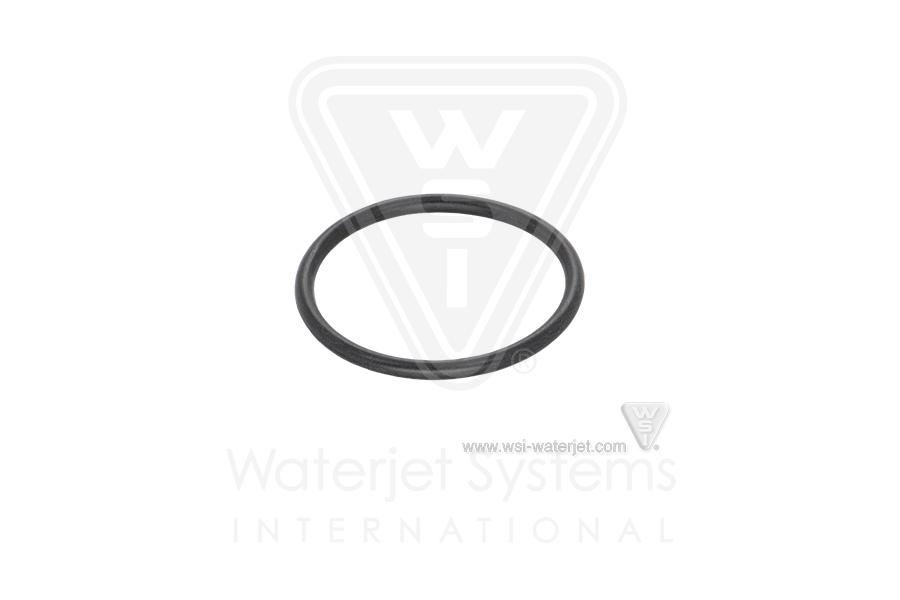 FWA-0275-125 O-Ring, Check Valve Body - Image 1