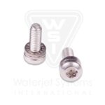 Retaining Screw Assembly, Sealing Head, SLV, 75s / 100s, Single Inlet